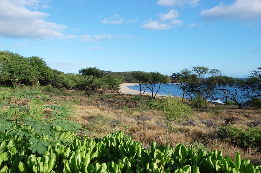 View from the Manele Resor