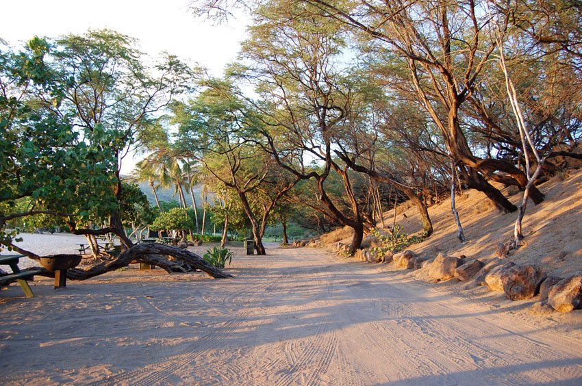 Trail to Pu'u Pehe