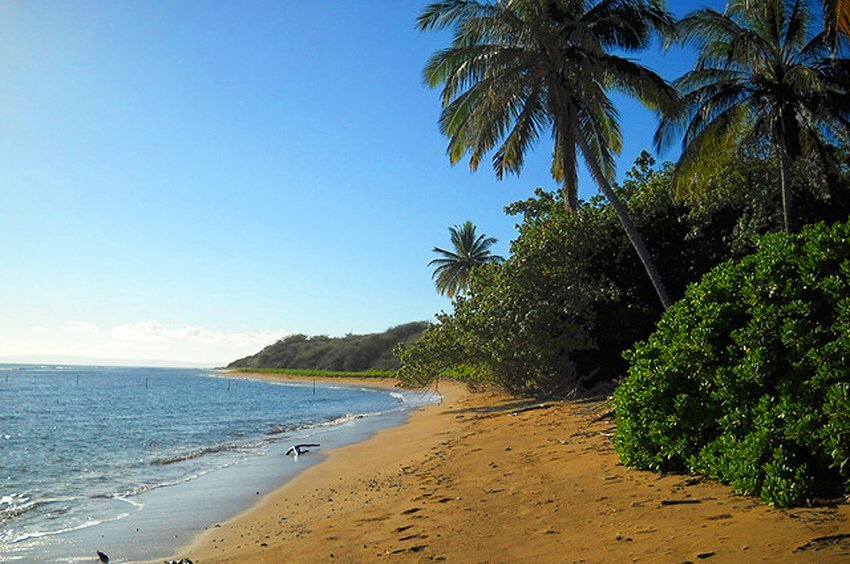 Narrow Lanai shoreline