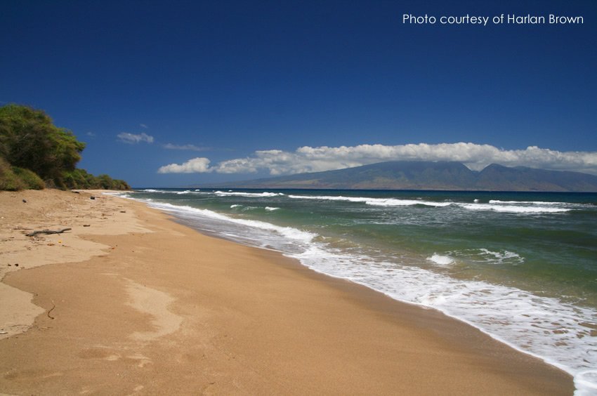 Lopa Beach