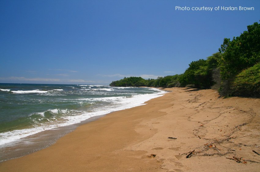 Remote Lanai beach