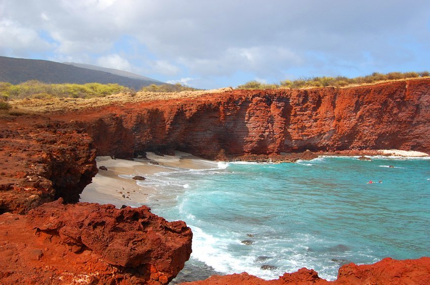 Shark's Bay