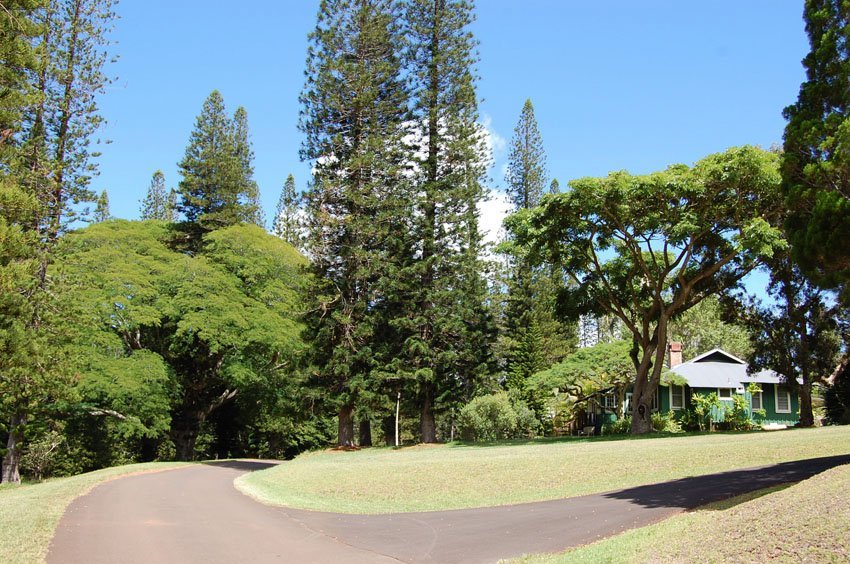 Lanai City