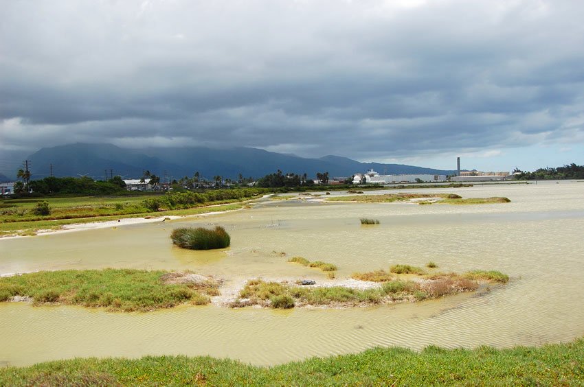 Ancient pond in Kahului