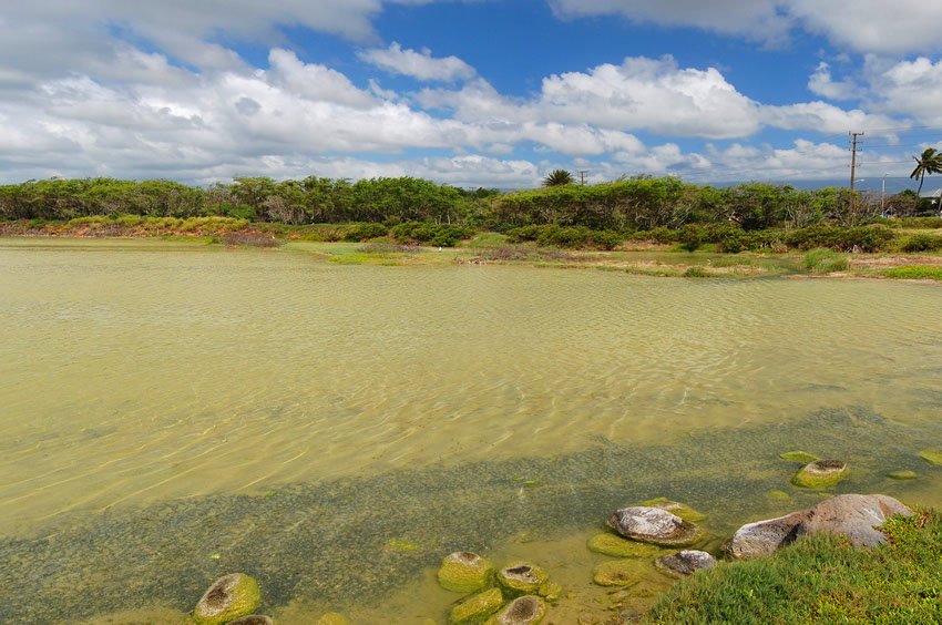 Attraction near Kahului Airport