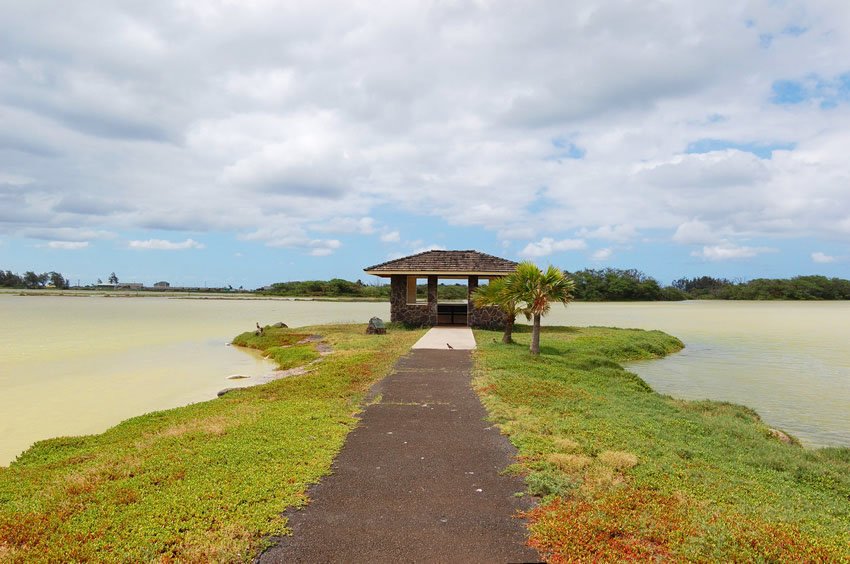 Kanaha Pond State Wildlife Sanctuary