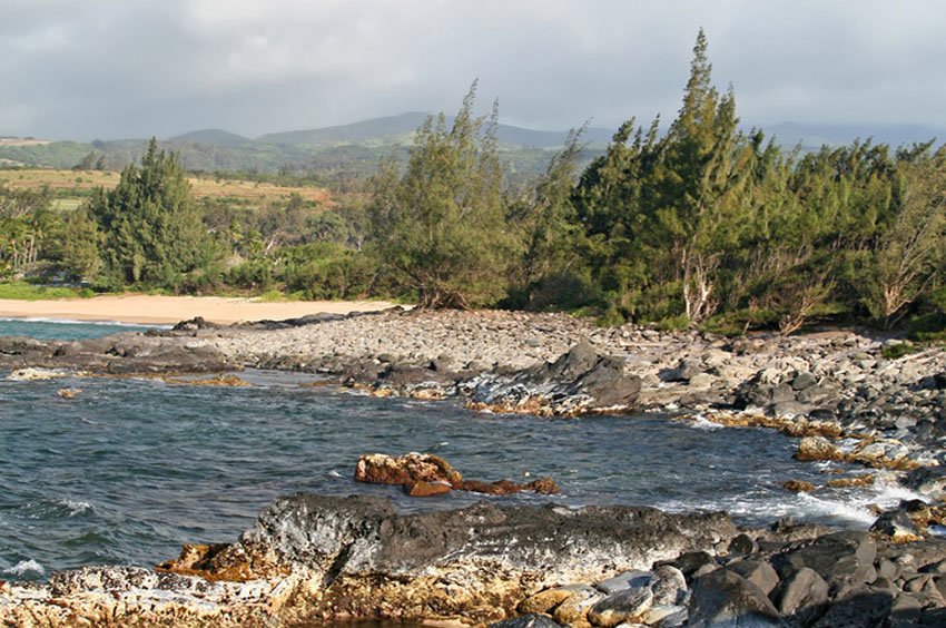 Looking towards D.T. Fleming Beach