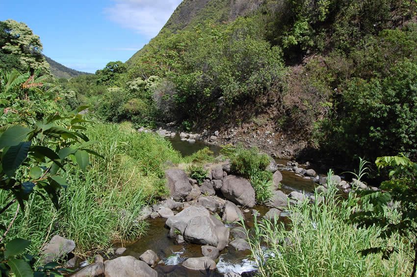 River flows through park