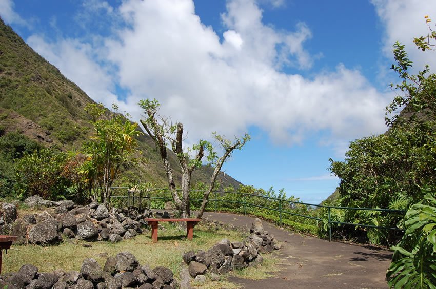 Walkway to a lookout point