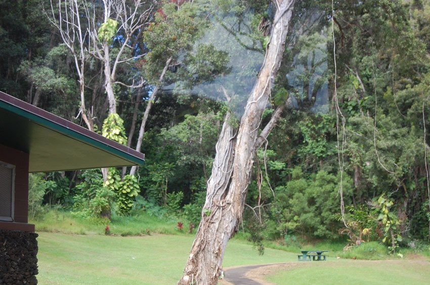 Kaumahina picnic area