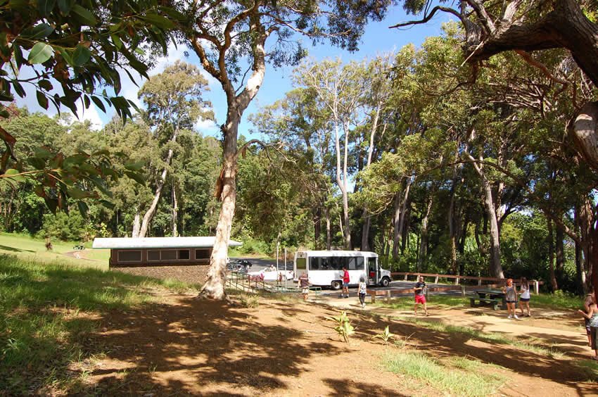 Tour group in the park