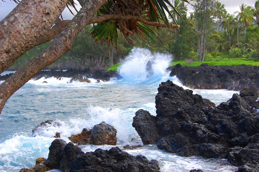 High surf