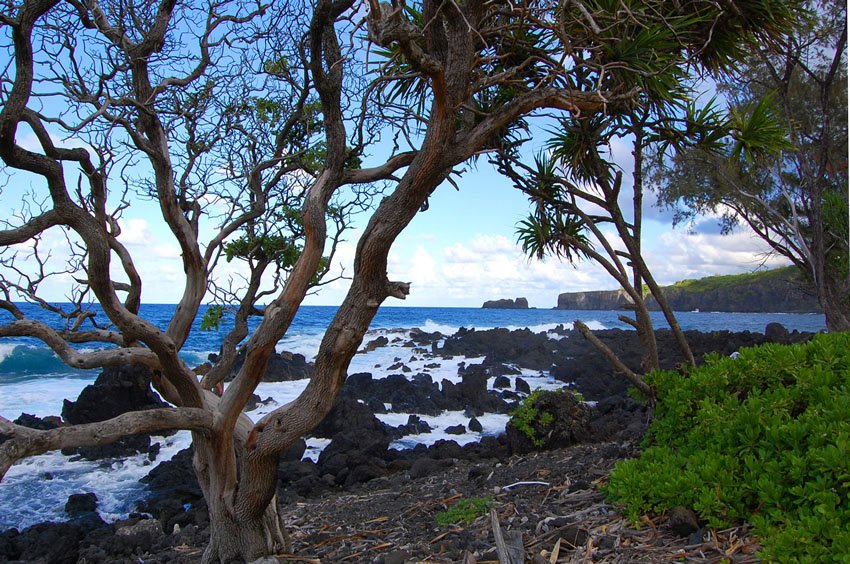 Ke'anae Peninsula