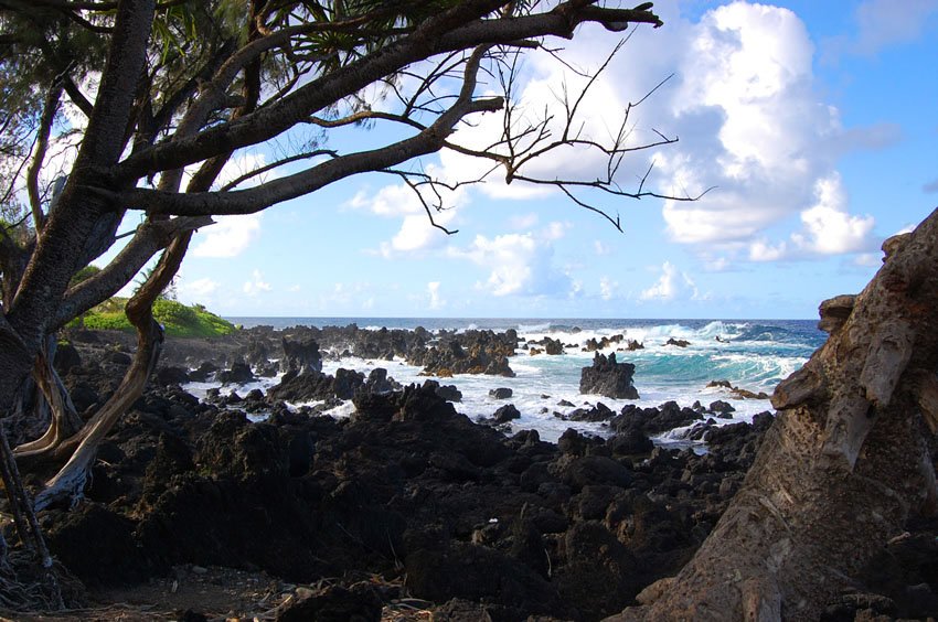 Lava rocks