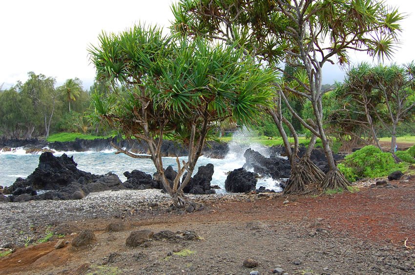 Crashing waves are the main attractions