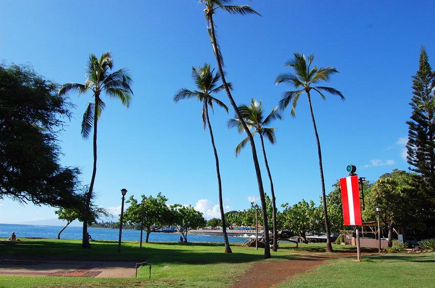 Kamehameha Iki Park