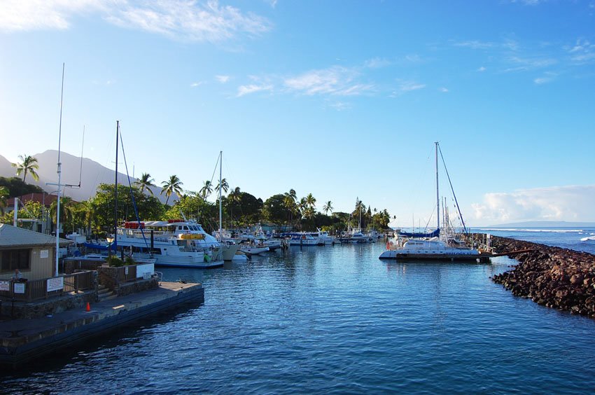 Morning at the harbor