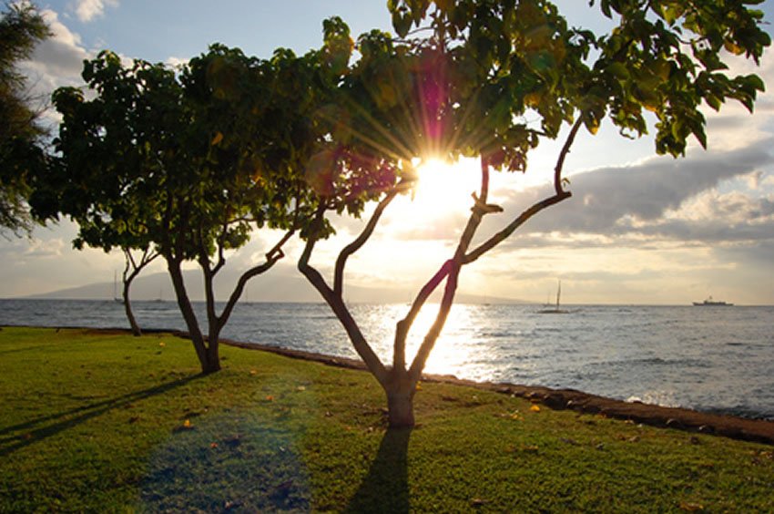 Lahaina Sunset