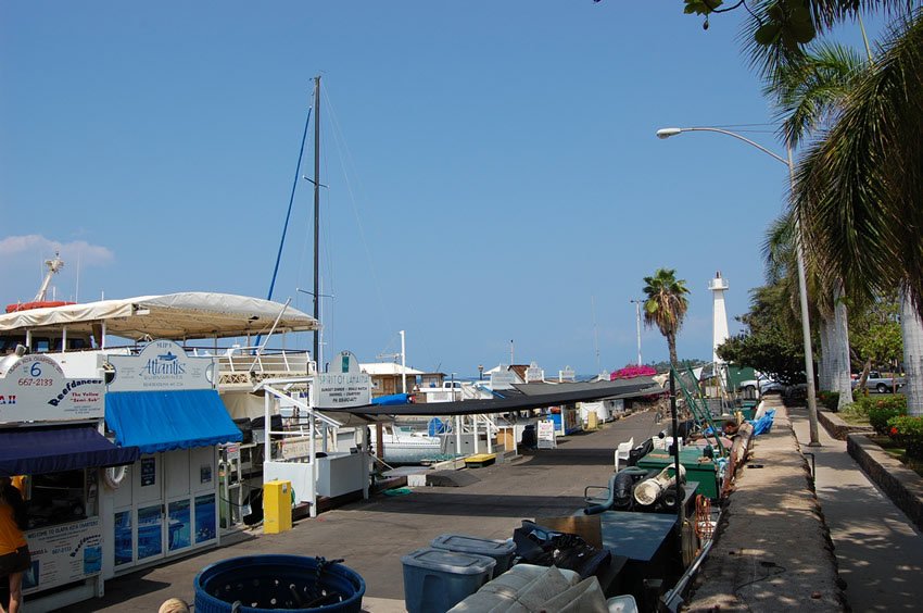 Activities booths