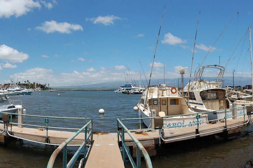 Docked boats