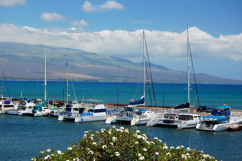 Maalaea Harbor