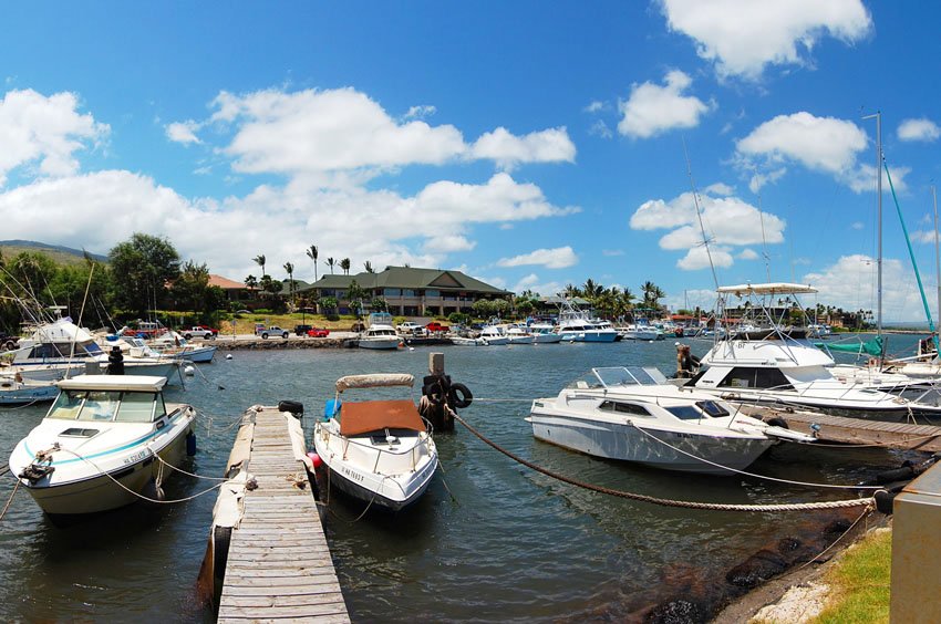 Ma'alaea Harbor