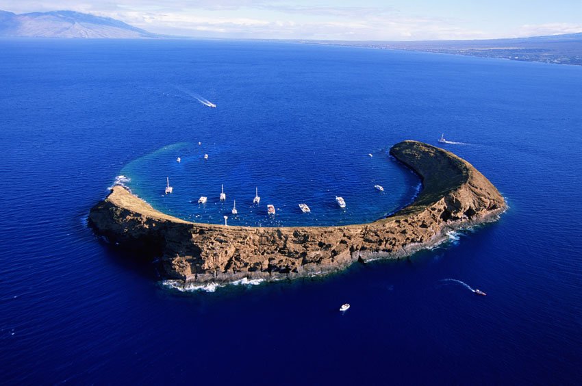 Diving at Molokini