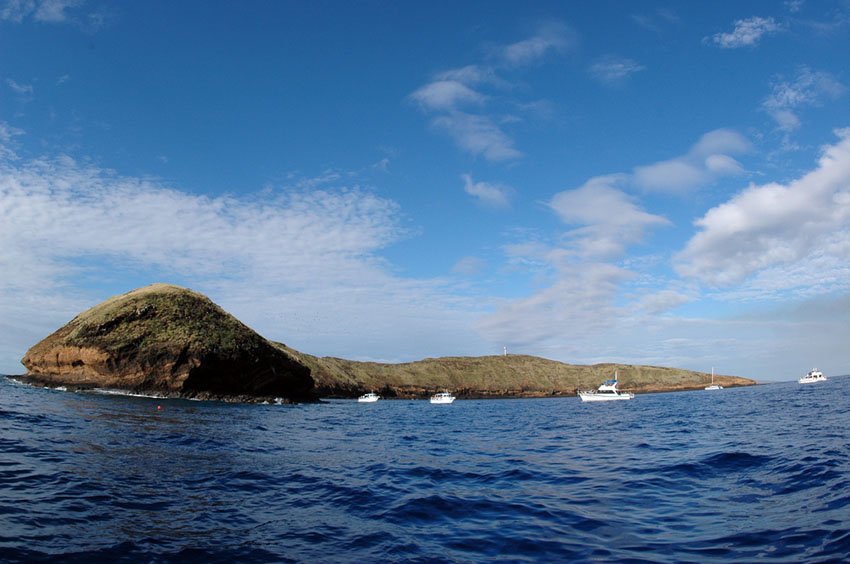 Molokini tour boats