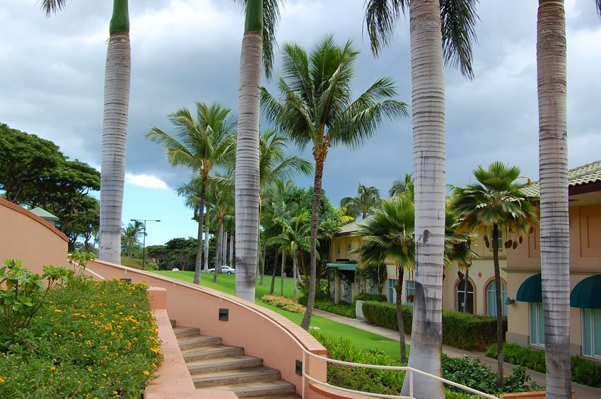 Stairs at the entrance