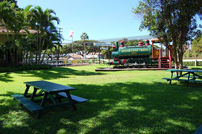 Picnic area