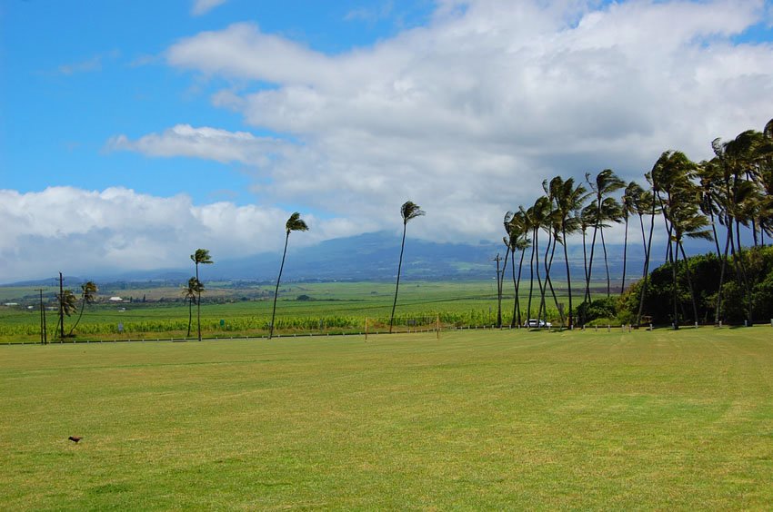 View to Haleakala from the park