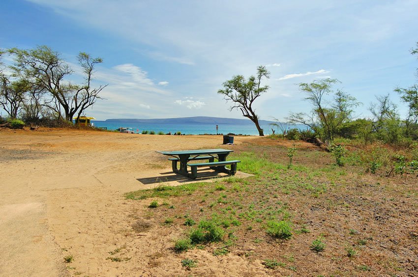 Sunny picnic area