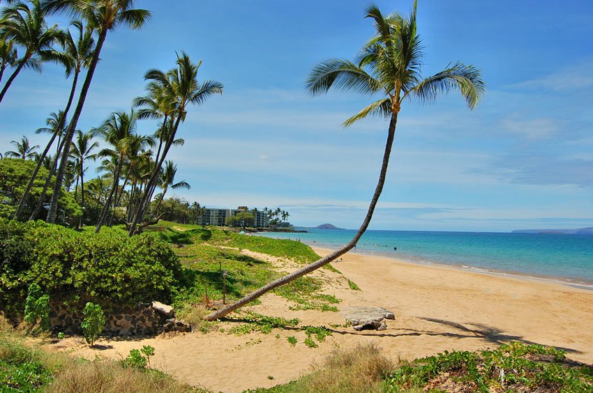 Beautiful view on Maui