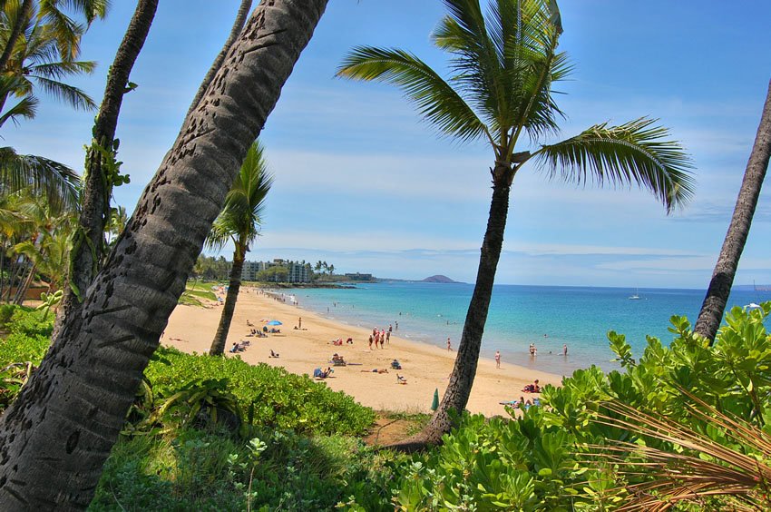 Charley Young Beach