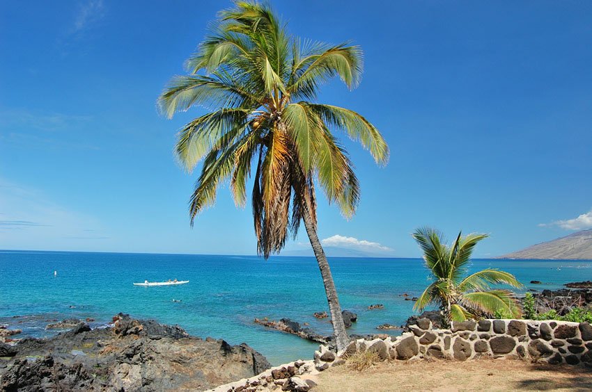 Scenic area near the beach