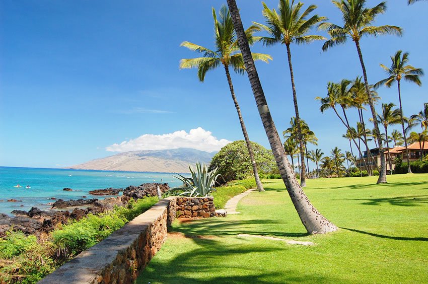 Scenic area near the beach