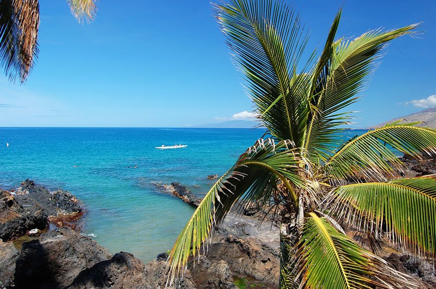 Scenic area near the beach