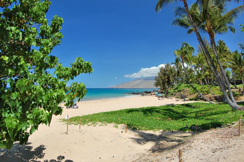 Scenic Maui beach