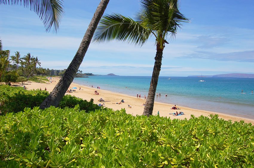 View from the beach path