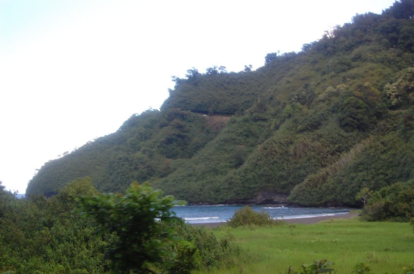 View to the beach