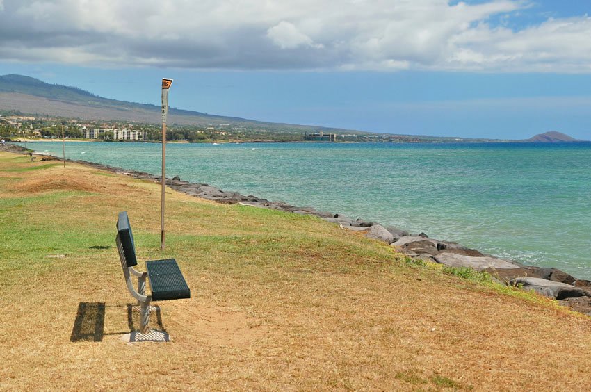 Oceanfront bench