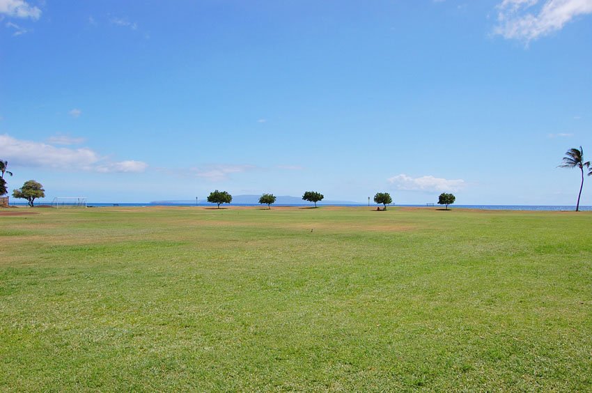 Large Kihei park