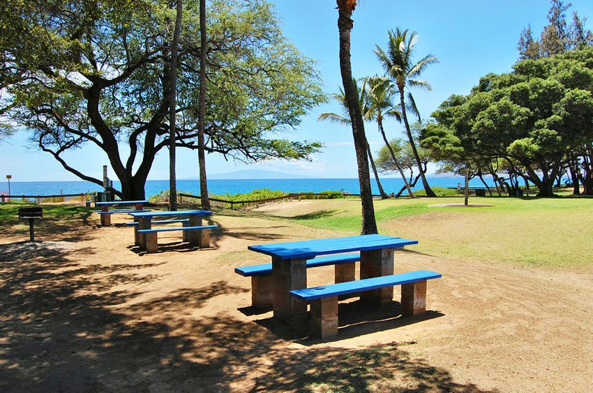 Picnic tables