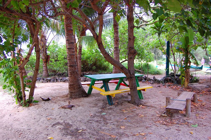 Picnic table on Maui