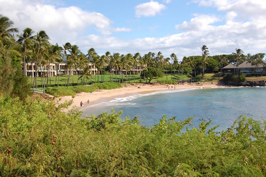 Scenic Kapalua