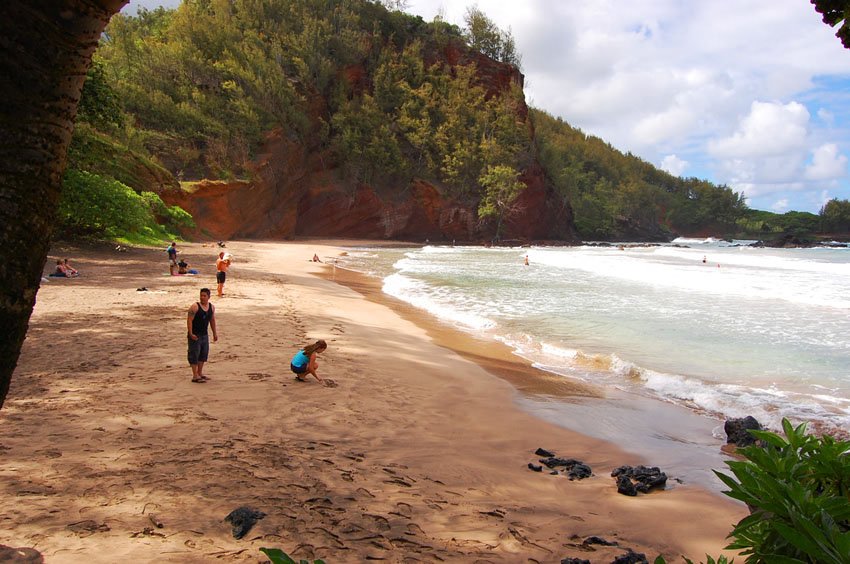 Beach has plenty of shade