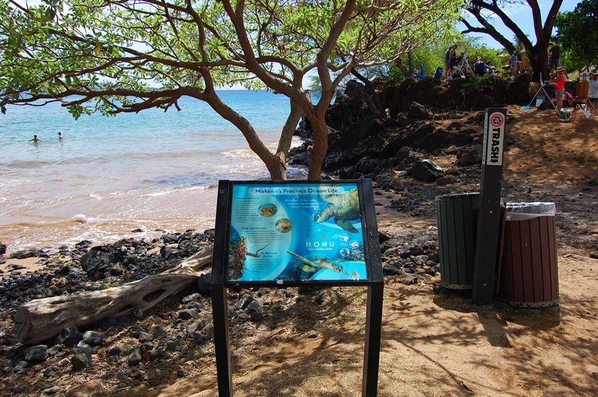 Makena Precious Ocean Life sign