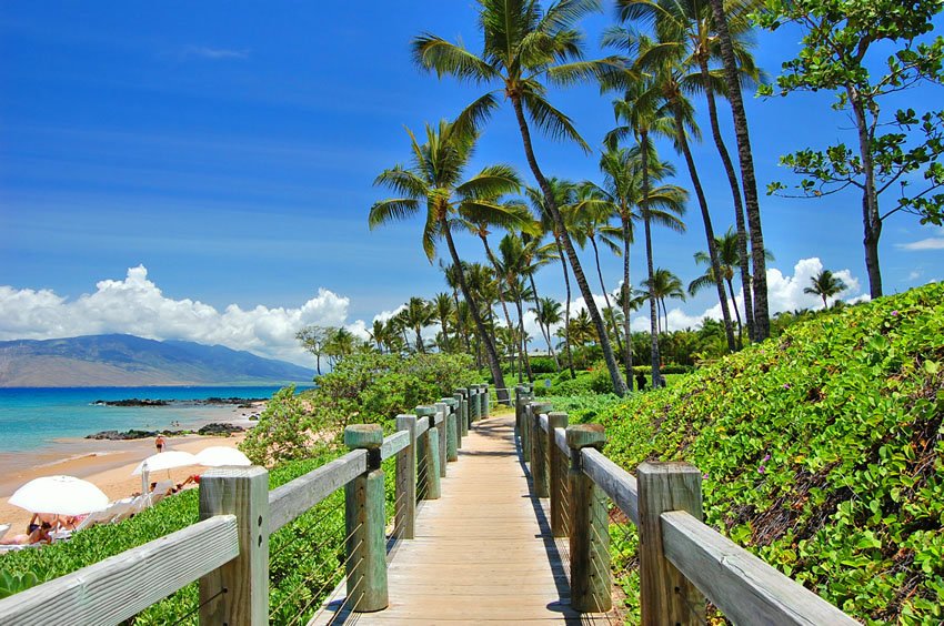 Beachfront walkway