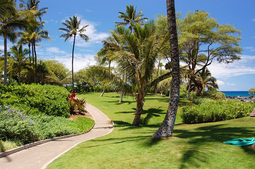 Walkway to the beach