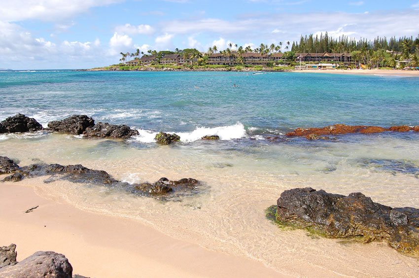 Lava rocks in the water